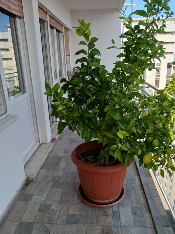 Room With Private Toilet And Balcony In City Center In Shared Apartment Спліт Екстер'єр фото